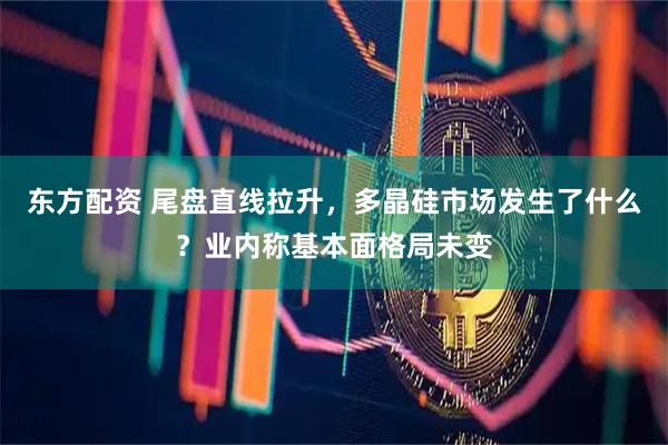 东方配资 尾盘直线拉升，多晶硅市场发生了什么？业内称基本面格局未变